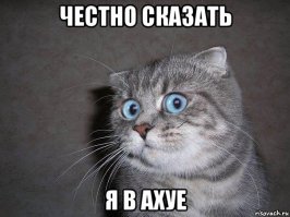 Финал чемпионата Мира по игре "Камень. Ножницы. Бумага"