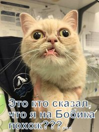 Добавка
