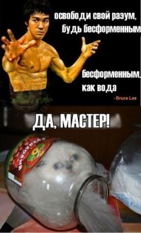 Мудрость Брюса Ли