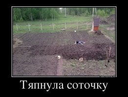 И пусть другие страны нам завидуют!