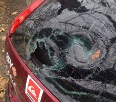 Нет, я обезьяну вижу