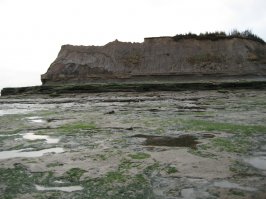 Песчаник фрагментированный на плитчатые отдельности, трещиноватость в ортогональной плоскости. Нормально вполне. На фото - Сев. Ледовитый океан, горло Белого моря, фото делал сам во время отлива.