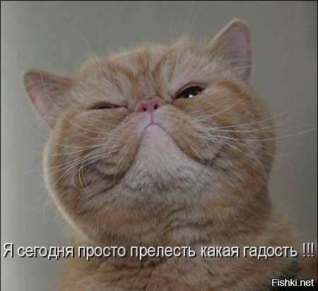 Картинки с надписями
