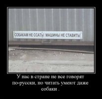 Смешные картинки не из сети