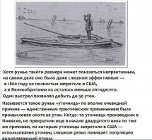 Разнообразные картинки с позитивным зарядом 