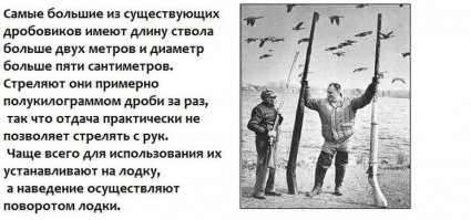 Разнообразные картинки с позитивным зарядом 