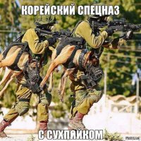 Если дворняжки мешают спать