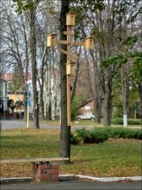 Разнообразные картинки с позитивным зарядом 