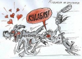 на законодательном уровне нужно запретить детям и старикам выгул собак больше таксы