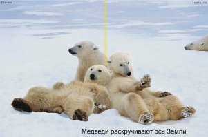 фото не подгрузилось