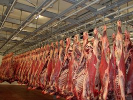 Епт, какая морозилка у чувака, где может потеряться такой кусок грудинки?