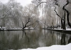 Вот из моей коллекции