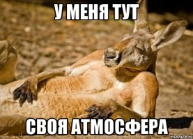 Австралию захлестнула предрождественская жара