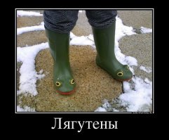 согласен Лабутены отстой ,то ли дело.....