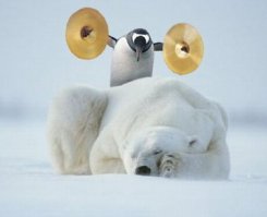 А вот те фиг!