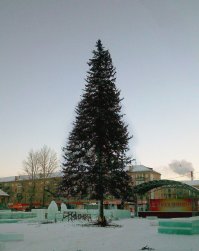 10-летняя девочка потратила все карманные деньги на игрушки для некрасивой ёлки в своём городе