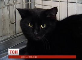 Не иначе, как агент самого Путина!