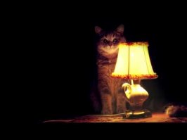 История одних отношений