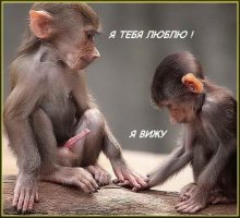 Очень длинно! Достаточно было этого фото: