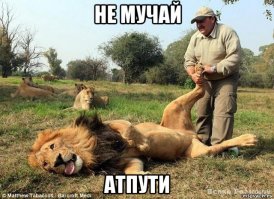  Змея притворилась мертвой, чтобы обезопасить себя от человека