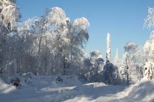 Зима, это неповторимое время года.
Если у тебя нет зимы, то это не повод говорить, что ее нет у других