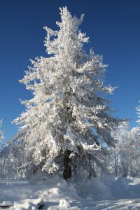 Зима, это неповторимое время года.
Если у тебя нет зимы, то это не повод говорить, что ее нет у других