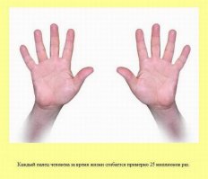 Интересно, у кого в руках много налички тоже  входит в указанную категорию