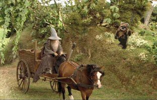 Лучшие маразмы этой недели