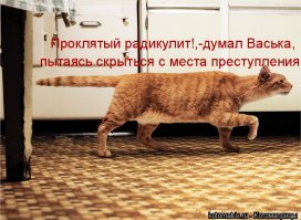  Змея притворилась мертвой, чтобы обезопасить себя от человека