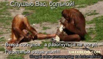  Змея притворилась мертвой, чтобы обезопасить себя от человека