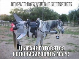 Смешные и странные костюмы животных