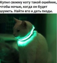Смешные и странные костюмы животных