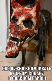 Смешные и странные костюмы животных