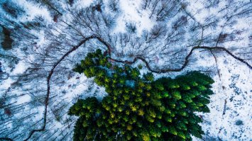 фотки необычные, да, но интереса и красоты вообще ноль, кроме этой