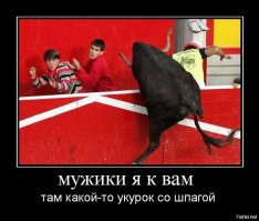 Когда фото сделаны в идеальный момент