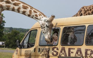 На Газели в Африку. Новые экстрим туры.