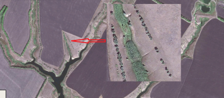 Сделал снимок из гугл мапс. Эти кустарники и есть лох, в данном случае серебристый. Сейчас им примерно лет по 60, а в высоту они метра по 4 максимум.