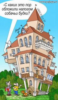 Это неловкое чувство, когда питомцы живут круче людей