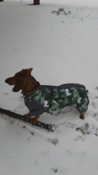 Недавно своему мерзляку купил комбез зимний