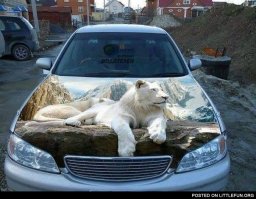 На грязи не рисуют, её смывают. Если такой талант, сделай аэрографию. При красивом художестве любая модель машины смотрится намного привлекательней.