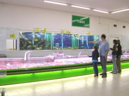 А я в супермаркет хожу на рыбок смотреть..