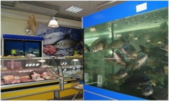 А я в супермаркет хожу на рыбок смотреть..