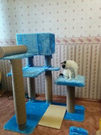 Пользуется по полной. И когти точит и спит :)
Правда очень громоздская штука получилась, буду строить более компактный вариант.