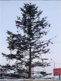 Владивосток, вроде 2010, решили вопрос...
