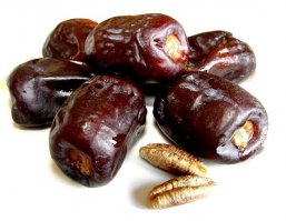 меликий лопал вот такие(это когда они созрели) вкусные очень