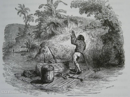 Автор этих работ - Жан Гранвиль. ( впечатляет техника исполнения )...