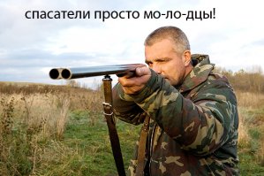 Добрые люди спасли молодую лосиху, провалившуюся под лед