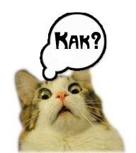 Как можно не хотеть видеть котиков?