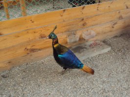 20 убойных фотографий, которые способны вас удивить