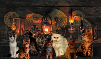 Легальный бизнес 